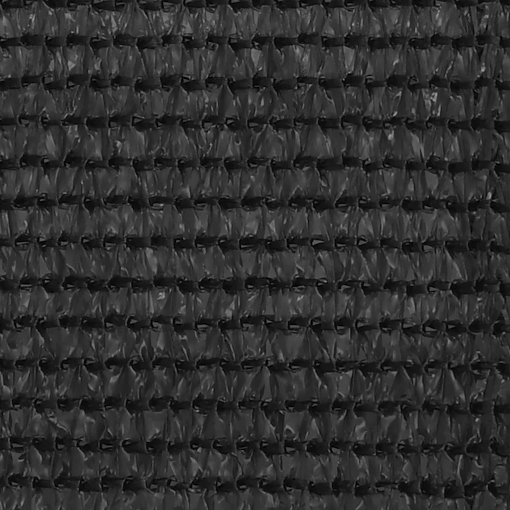 Paravan de balcon, antracit, 120x300 cm, HDPE